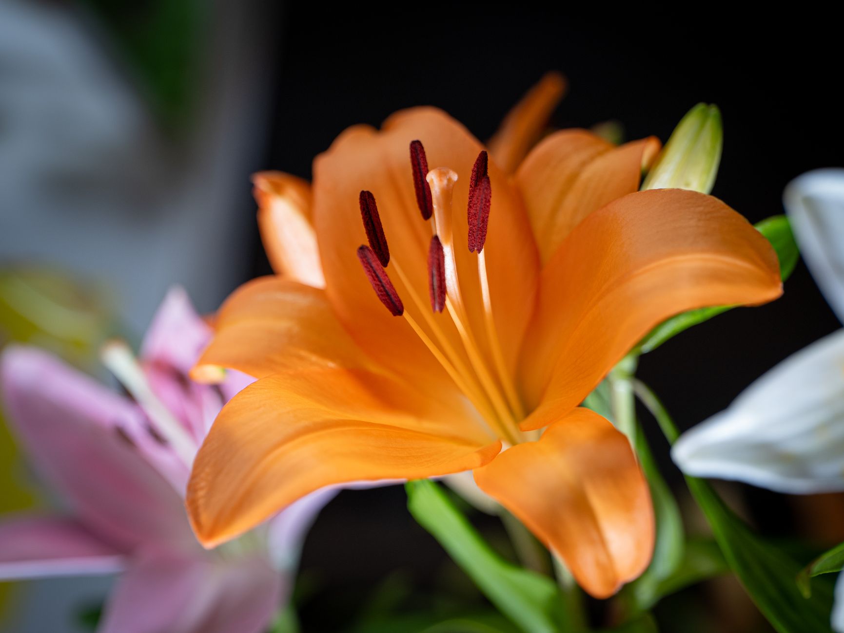 Livraison fleurs à Drancy